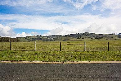 Epic喜加一：《追踪地平线》免费领取