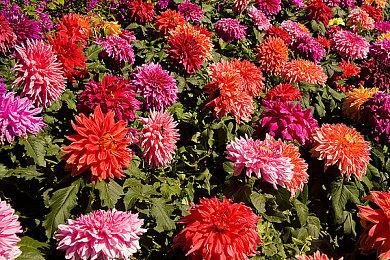 突然涨价！小高新作《终天教团》价格从200元变为320元